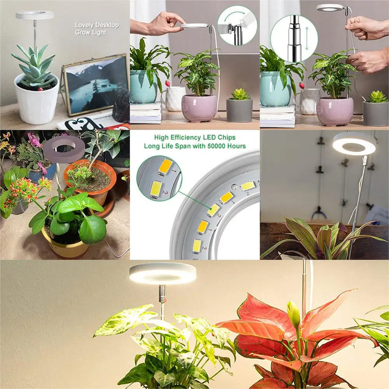 Lâmpada led para cultivo de plantas, espectro completo, lâmpada fito, usb, para plantas, 5v, iluminação para crescimento de plantas, para plantas de interior